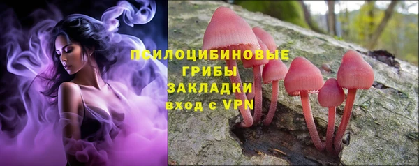 бутират Осинники